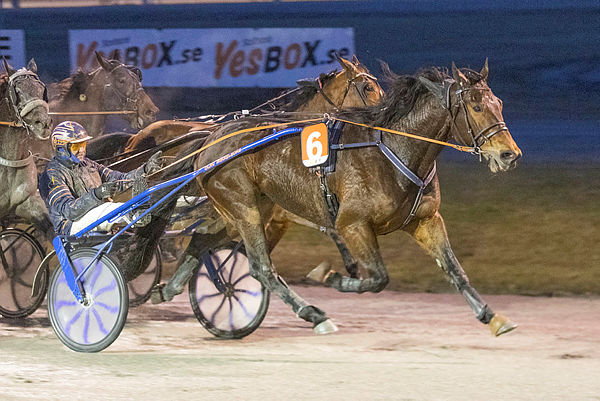 Banelengde: 800 m - Oppløp: 220 m