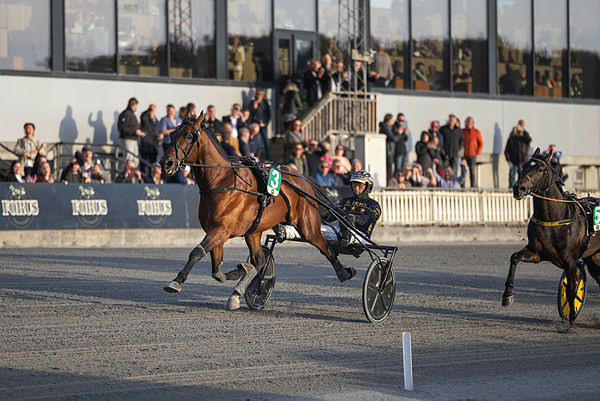 Banelengde: 1000 m - Oppløp: 200 m