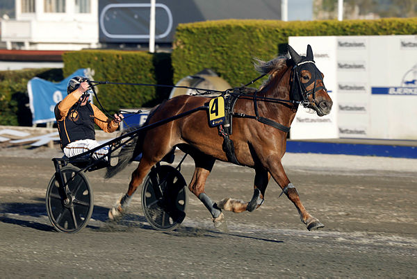 Banelengde: 1000 m - Oppløp: 200 m